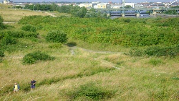 Maze Park - J Garside