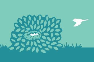 bush for nesting