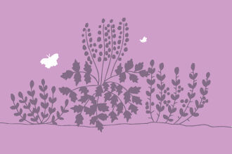 How to make a shrub garden for wildlife