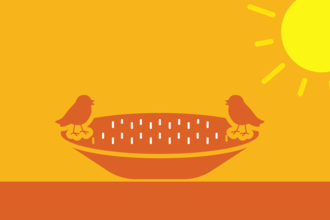 Birds in a bird bath infographic