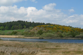 Landscape of gorse-covered hills in distance, a lake in the foreground