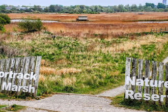 wooden fence opening out to a nature reserve