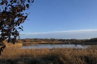 A landscape view of Bowesfield reserve reedbeds, river and trees with blue sky in the background