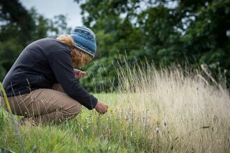 A woman wearing a blue knitted hat crouches in long grass to survey the flora within