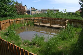Myton Park School Pond