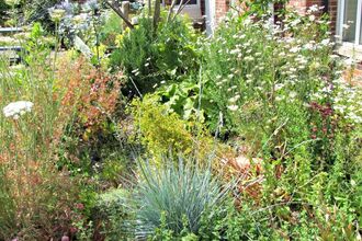 A lush outside garden