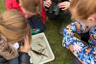 4 primary school children crouch beside a white pond dip tray containing water and small water creatures