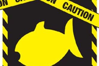 Logo of a yellow fish