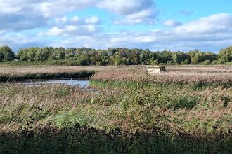 A wide open space with grassland, wetland and a large blue sky