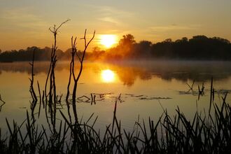 Nene Wetlands, The Wildlife Trust BCN