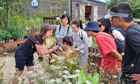 Group of people gather around a raised bed with plants and herbs. 