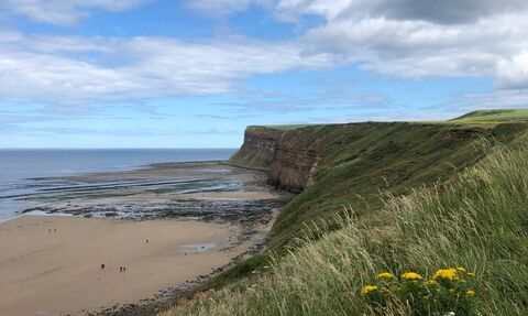Huntcliff in summer, long grasses and wildflowers in the foreground, the beach at Saltburn and the sea in the distance