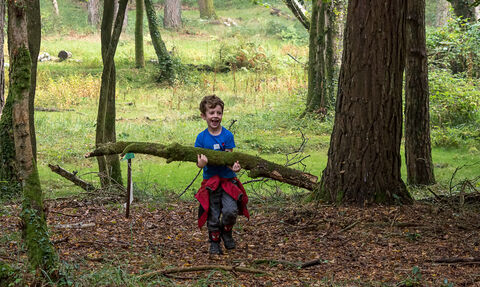 Child carrying a branch in a woodland