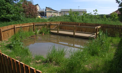Myton Park School Pond
