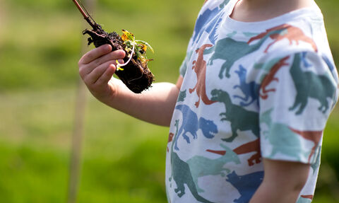 Young child holding a small tree to be planted