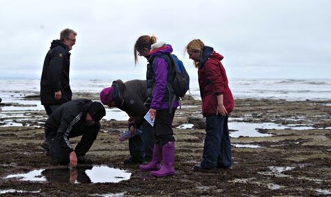 five people on a muddy winter beach in big coats