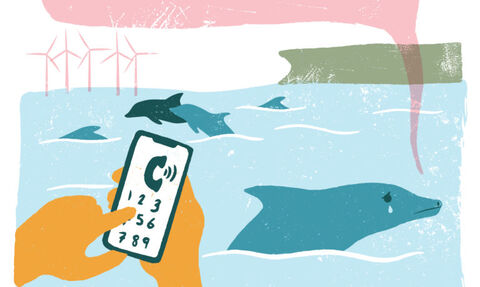 graphic of dolphin saying you know who to call