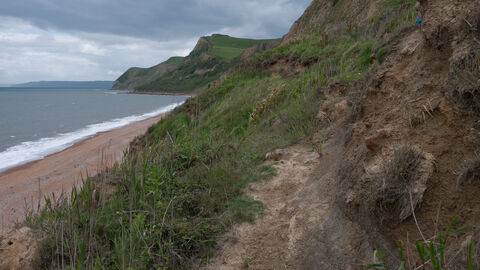Maritime cliff