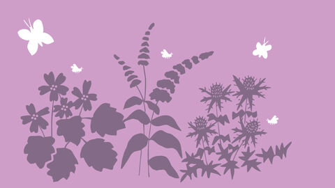 bird and butterfly plants banner illustration