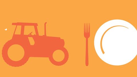 Tractor and plate