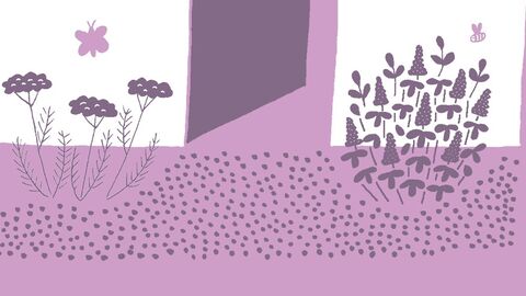 climate friendly gardening