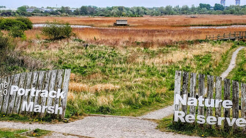 wooden fence opening out to a nature reserve