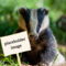 Badger holding a sign saying placeholder