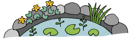 step 6
