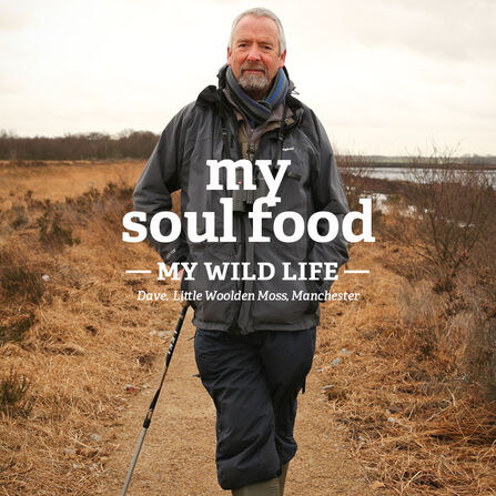Dave stands on a nature reserve
