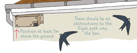 swift box
