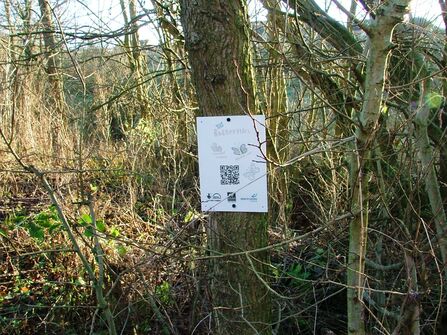 North Shore Academy QR trail