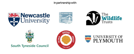 Stronger Shores Partnership logos