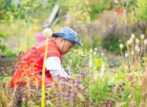 A man gardens in a wildlife friendly garden. 