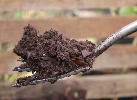 Compost on a garden fork
