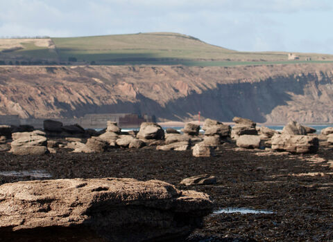 Landscape of cliffs and rocks