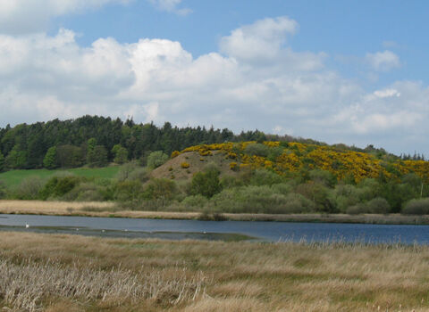 Landscape of gorse-covered hills in distance, a lake in the foreground