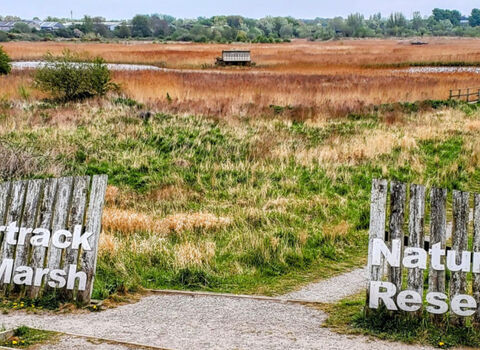 wooden fence opening out to a nature reserve