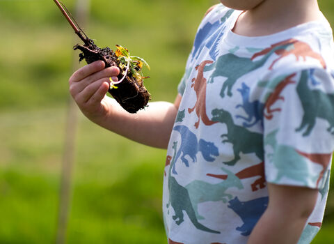 Young child holding a small tree to be planted