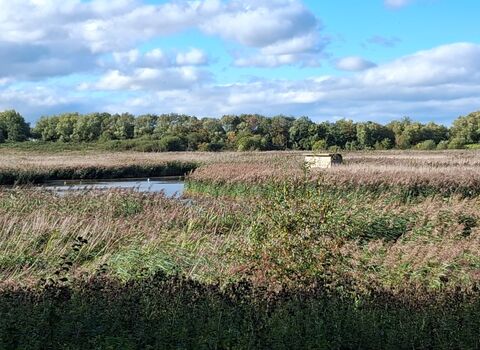 A wide open space with grassland, wetland and a large blue sky