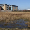 Bowesfield Nature Reserve