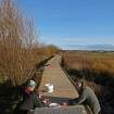 Volunteers installing a boardwalk