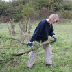 Volunteer removing scrub from wildflower meadow 2