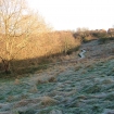 Hardwick view