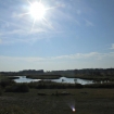 Potrack view