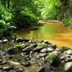 Saltburn Gill