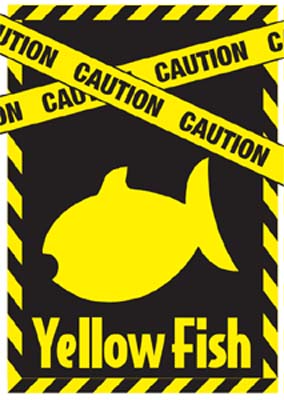 Yellow Fish Web page