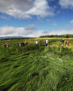 Whitecliffe Coatham Marsh 2nd visit (1)