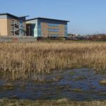 Bowesfield Marsh Nature Reserve