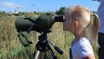 Young girl with blonde hair looks into a bird-watchers telescope while out with her school on Portrack Marsh