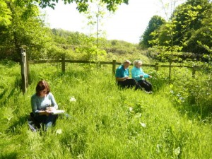 woodlanddiaries1